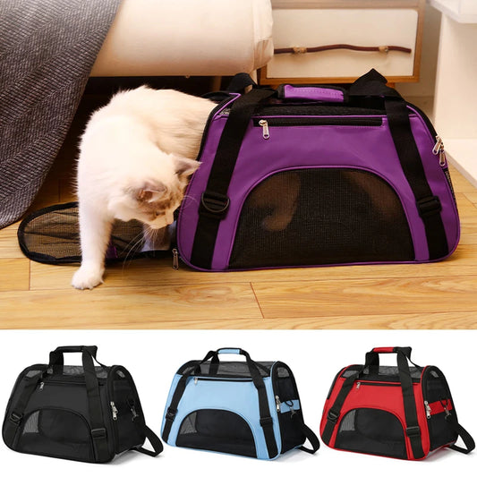 Sac de transport souple pour chat en tissu violet avec larges fenêtres en maille respirante, bandoulière réglable et poignées confortables, montré avec un chat blanc et disponible en noir, bleu et rouge.
