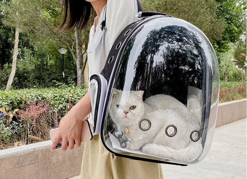 Sac à dos de transport pour chat transparent noir modèle bulle panoramique porté avec chat blanc à l'intérieur.