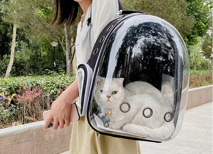 Sac à dos de transport pour chat transparent noir modèle bulle panoramique porté avec chat blanc à l'intérieur.