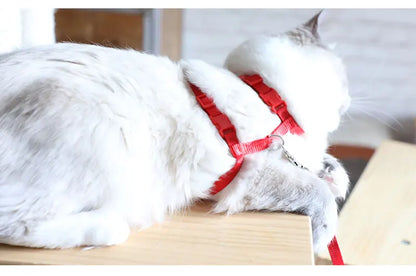 Vue dorsale d'un chat blanc portant un harnais pour chat rouge en nylon ajustable. Ce harnais chat de type H montre le système de double fermeture par clips sécurisés et l'anneau d'attache dorsal métallique. Un accessoire harnais animaux léger et robuste conçu pour une sécurité anti-évasion totale lors des balades, s'adaptant confortablement à la morphologie de votre félin.