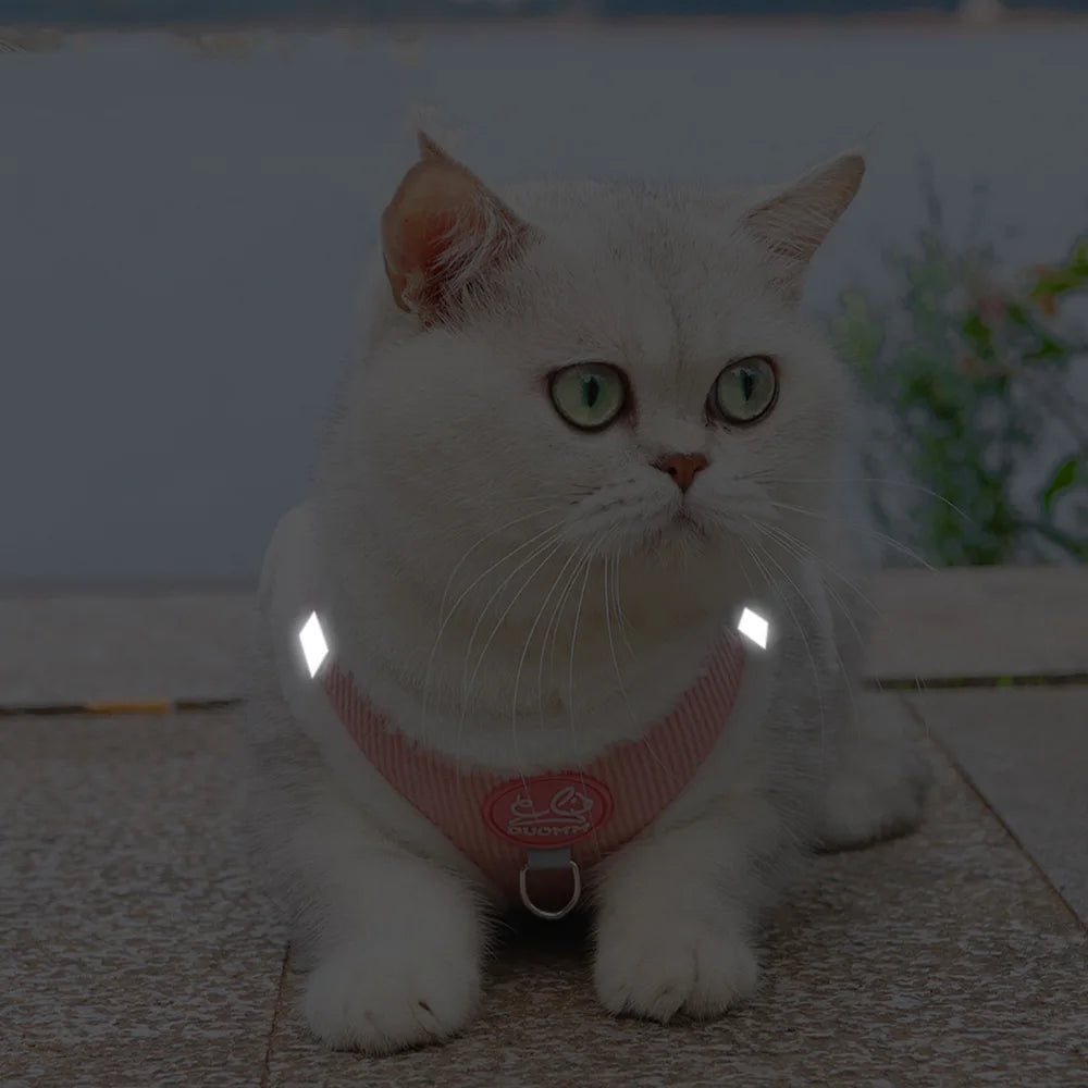 Gros plan d'un chat blanc portant un harnais rose réfléchissant dont les bandes brillent intensément dans l'obscurité. Ce dispositif de sécurité nocturne est le support idéal pour accompagner un collier gps chat lors des sorties par faible luminosité. Une protection indispensable pour un collier gps pour chaton, alliant traçage technologique et visibilité passive avec ce support pour collier gps ultra-réfléchissant.