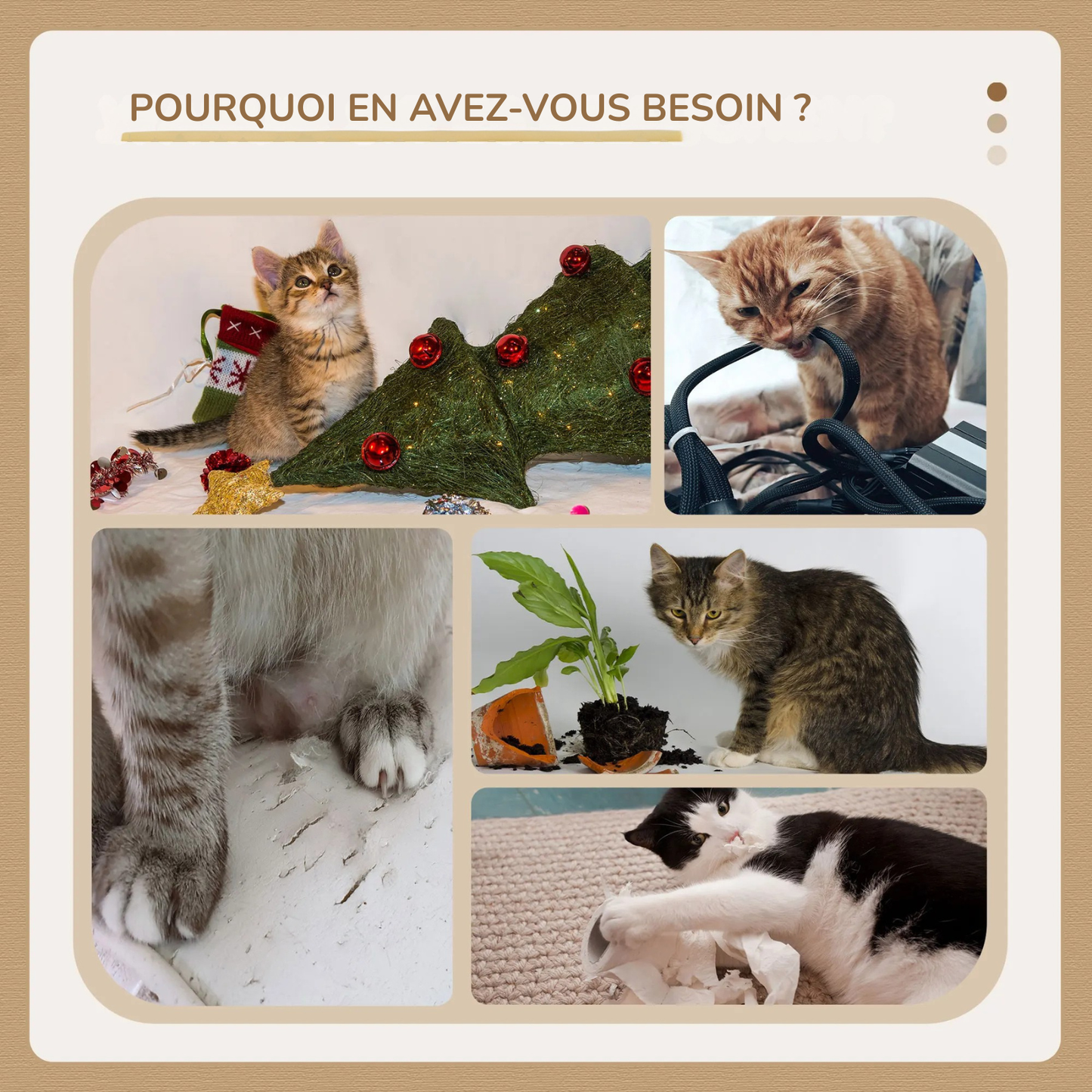Compilation de photos montrant les dégâts d'un chat dans une maison : canapé griffé, câbles mordillés et plantes renversées. Cette infographie explique l'importance d'un arbre a chat pour canaliser l'énergie de votre félin. Solution idéale avec un arbre chaton pour éviter les bêtises. Arbre chat de qualité Les Trésors d'Owka.