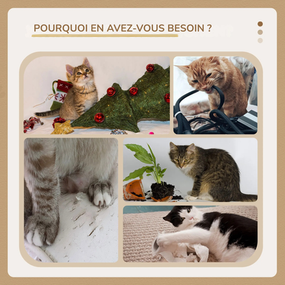Compilation de photos montrant les dégâts d'un chat dans une maison : canapé griffé, câbles mordillés et plantes renversées. Cette infographie explique l'importance d'un arbre a chat pour canaliser l'énergie de votre félin. Solution idéale avec un arbre chaton pour éviter les bêtises. Arbre chat de qualité Les Trésors d'Owka.