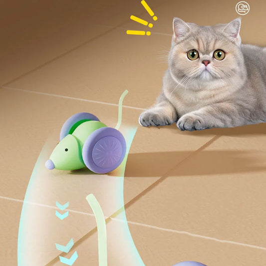 Photographie de mise en situation d'un jouet chat innovant : une souris robotique interactive aux couleurs vert et violet. L'image montre un chat British Shorthair captivé par le mouvement du robot, illustré par une trajectoire lumineuse courbe suggérant une technologie de déplacement aléatoire. Ce dispositif de jeux pour chat est conçu pour stimuler l'instinct de chasse naturel et combattre l'ennui des félins d'appartement. Le design inclut de larges roues antidérapantes pour une circulation fluide sur car