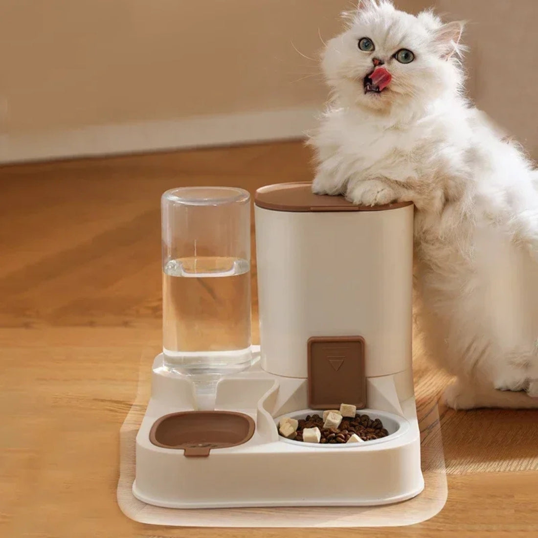 Chat blanc à côté d'une station de nourrissage duo crème et marron comprenant un distributeur de croquettes par gravité et un réservoir d'eau transparent.