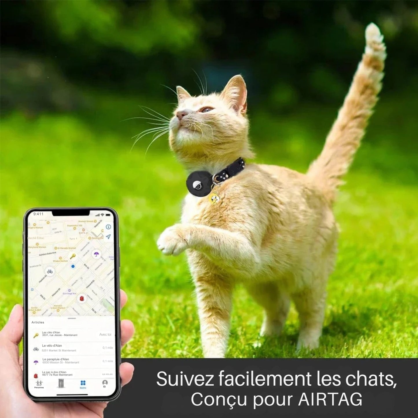 Collier gps chat noir avec motifs célestes porté par un chaton roux dans un jardin. L'image présente un smartphone affichant une carte de localisation précise pour suivre facilement les déplacements de l'animal. Ce dispositif sécurisant est idéal comme premier collier gps pour chaton, offrant une solution de suivi performante via ce collier gps conçu pour AirTag.