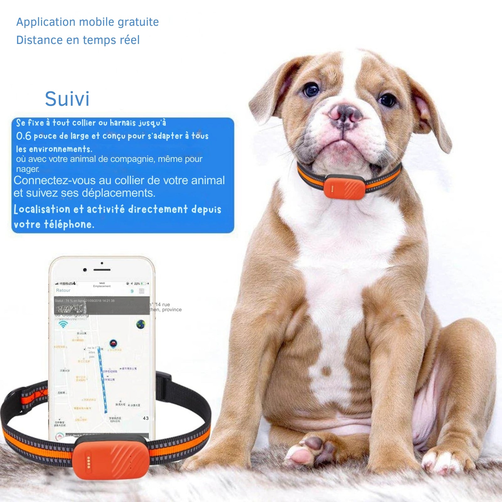 Collier gps chat orange haute visibilité avec application mobile gratuite pour un suivi à distance en temps réel. Le visuel montre un chien portant le traceur et un smartphone affichant l'historique des déplacements sur une carte précise. Un dispositif polyvalent qui se fixe à tout collier ou harnais jusqu'à 1,5 cm de large, idéal comme premier collier gps pour chaton grâce à sa conception légère. Suivez l'activité de votre animal directement depuis votre téléphone avec ce collier gps intelligent.