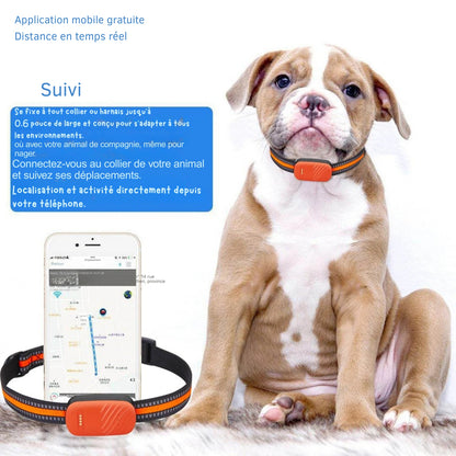 Collier gps chat orange haute visibilité avec application mobile gratuite pour un suivi à distance en temps réel. Le visuel montre un chien portant le traceur et un smartphone affichant l'historique des déplacements sur une carte précise. Un dispositif polyvalent qui se fixe à tout collier ou harnais jusqu'à 1,5 cm de large, idéal comme premier collier gps pour chaton grâce à sa conception légère. Suivez l'activité de votre animal directement depuis votre téléphone avec ce collier gps intelligent.