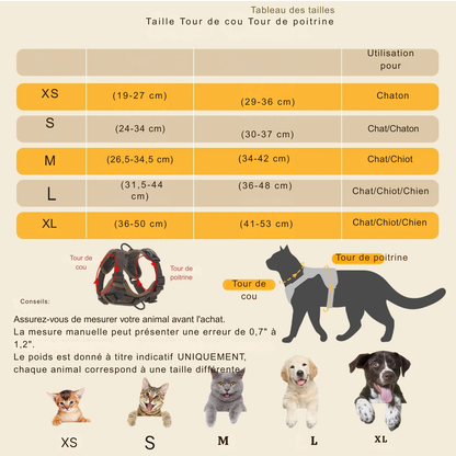 Tableau des tailles complet pour harnais pour chat et chiens, allant du XS au XL. Le guide détaille les mesures du tour de cou (19-50 cm) et du tour de poitrine (29-53 cm) selon la morphologie. Cette infographie explique comment mesurer votre harnais chat pour un ajustement anti-évasion. Un outil indispensable pour choisir le bon harnais animaux adapté aux chatons, chats adultes et chiots.