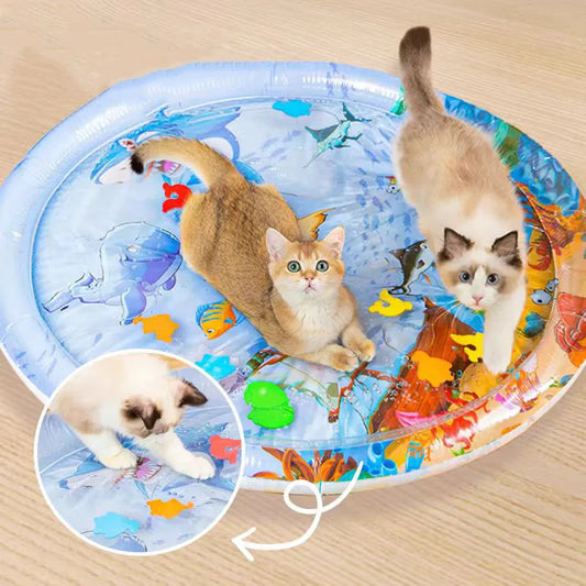 Tapis rafraichissant chat sensoriel à remplir d'eau avec motifs de poissons et animaux marins. L'image montre trois chats s'amusant sur ce coussin rafraichissant pour chat gonflable et interactif. Jeu d'été pour animaux, frais et stimulant, utilisable aussi comme tapis rafraichissant chien de petite taille. Qualité Les Trésors d'Owka.