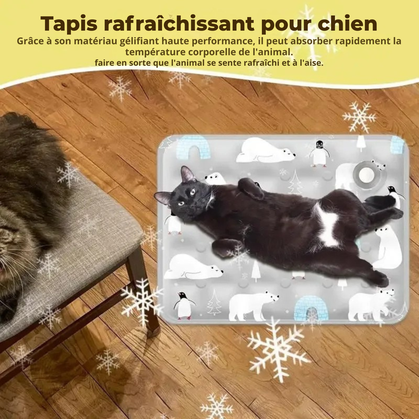 Chat noir allongé sur le dos en pleine détente sur un tapis rafraichissant chat gris à motifs ours polaires et pingouins. Ce coussin rafraichissant chat au gel haute efficacité absorbe la chaleur corporelle. Coussin froid pour chat posé sur un parquet bois, idéal pour les chats noirs en été. Qualité Les Trésors d'Owka.