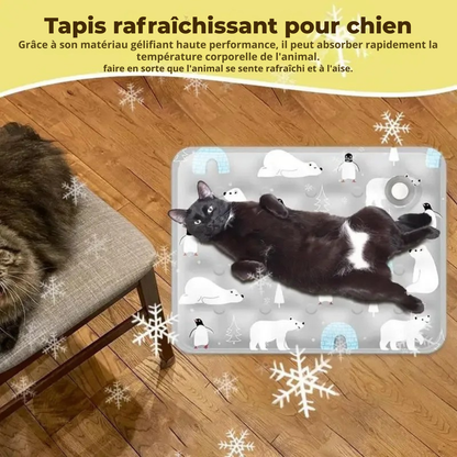 Chat noir allongé sur le dos en pleine détente sur un tapis rafraichissant chat gris à motifs ours polaires et pingouins. Ce coussin rafraichissant chat au gel haute efficacité absorbe la chaleur corporelle. Coussin froid pour chat posé sur un parquet bois, idéal pour les chats noirs en été. Qualité Les Trésors d'Owka.