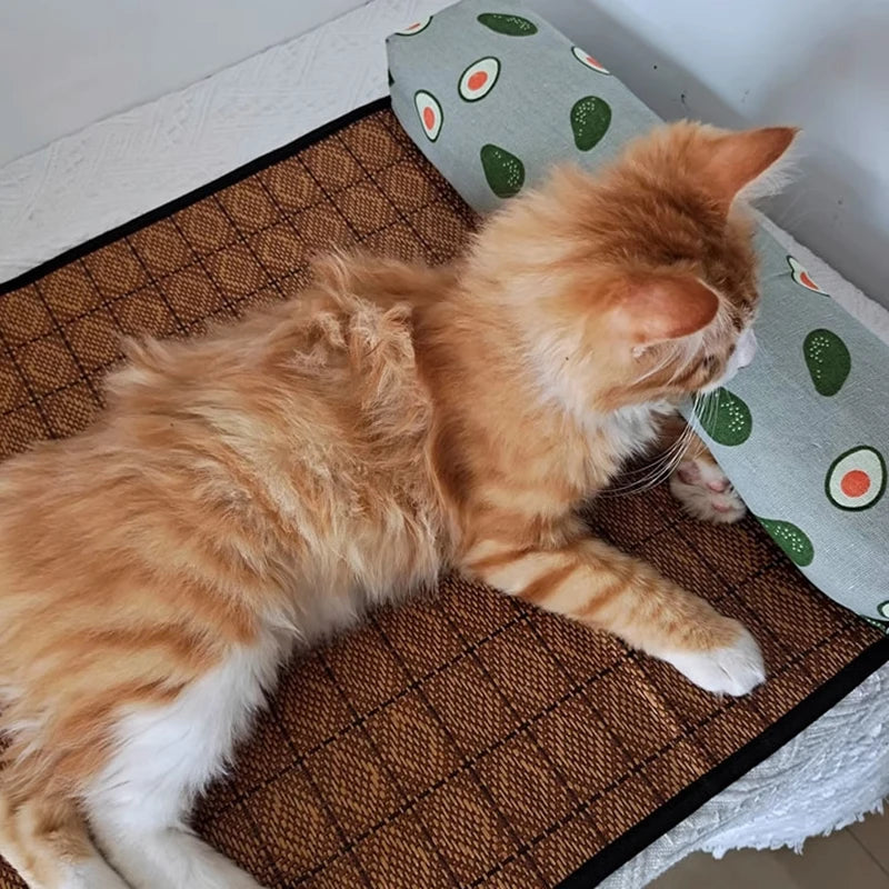 Tapis rafraichissant chat en rotin naturel avec oreiller à motifs avocats. L'image montre un chat roux allongé sur le tissage frais en fibres végétales. Ce coussin rafraichissant chat écologique assure une protection contre la chaleur sans électricité. Coussin froid pour chat durable et respirant. Qualité Les Trésors d'Owka.