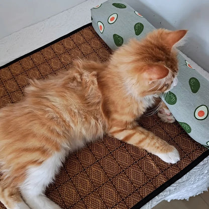 Tapis rafraichissant chat en rotin naturel avec oreiller à motifs avocats. L'image montre un chat roux allongé sur le tissage frais en fibres végétales. Ce coussin rafraichissant chat écologique assure une protection contre la chaleur sans électricité. Coussin froid pour chat durable et respirant. Qualité Les Trésors d'Owka.