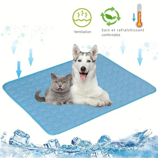 Infographie d'un tapis rafraichissant chien et chat bleu avec un Husky et un chat gris. L'image détaille les fonctions de ventilation et de refroidissement sain. Matelas été auto-rafraîchissant et respirant, idéal comme tapis rafraichissant chat ou coussin rafraichissant pour chat. Qualité Les Trésors d'Owka.