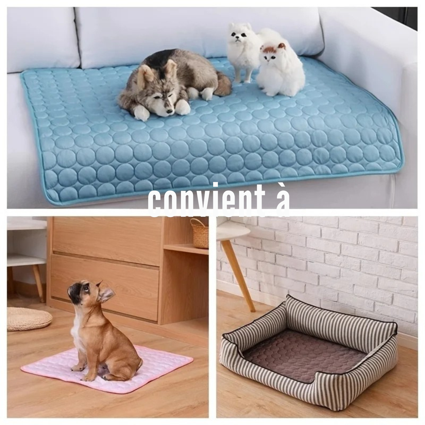 Montage montrant un tapis rafraichissant chien et chat utilisé sur un canapé, sur le sol et dans un panier. L'image présente les coloris bleu, rose et café de ce coussin rafraichissant pour chat polyvalent. Tapis d'été auto-rafraîchissant et respirant, idéal comme tapis rafraichissant chat pour toutes les pièces de la maison. Qualité Les Trésors d'Owka.