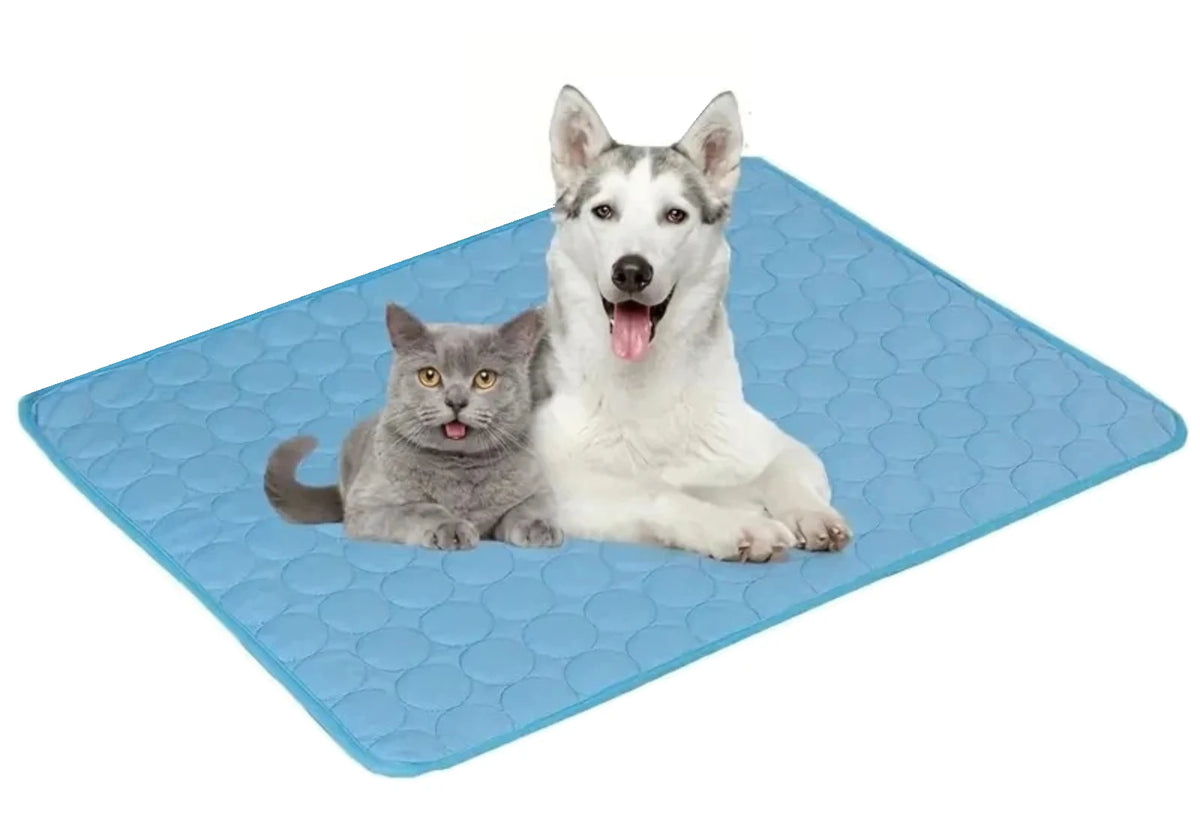 Un chat gris et un chien blanc couchés côte à côte sur le tapis rafraîchissant « Soie Glacée » bleu — Les Trésors d'Owka