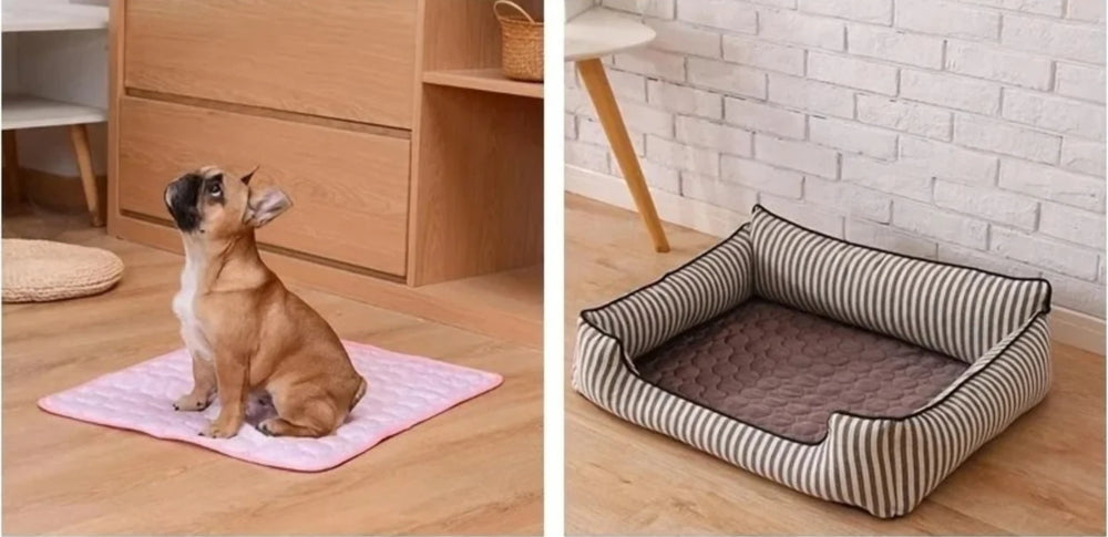 Tapis « Soie Glacée » rose au sol sous un bouledogue, et café au fond d'un panier rayé non fourni — Les Trésors d'Owka