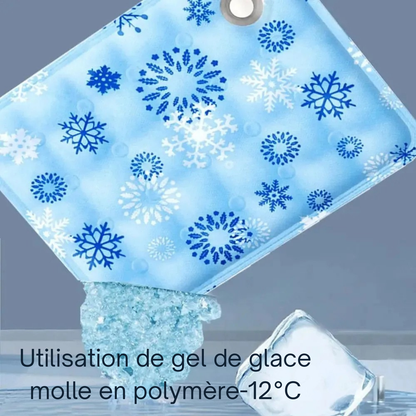 Schéma technique du tapis rafraichissant chat montrant l'intérieur en gel polymère souple. L'image indique une performance de refroidissement de $-12$°C avec des glaçons en illustration. Ce coussin rafraichissant chat bleu à flocons est un coussin froid pour chat haute technologie pour canicule extrême. Qualité Les Trésors d'Owka.