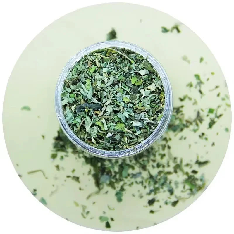 Vue de dessus d'un pot transparent rempli d'herbe à chat cataire séchée de haute qualité, montrant une texture de feuilles finement broyées d'un vert riche, idéale pour stimuler les chats.