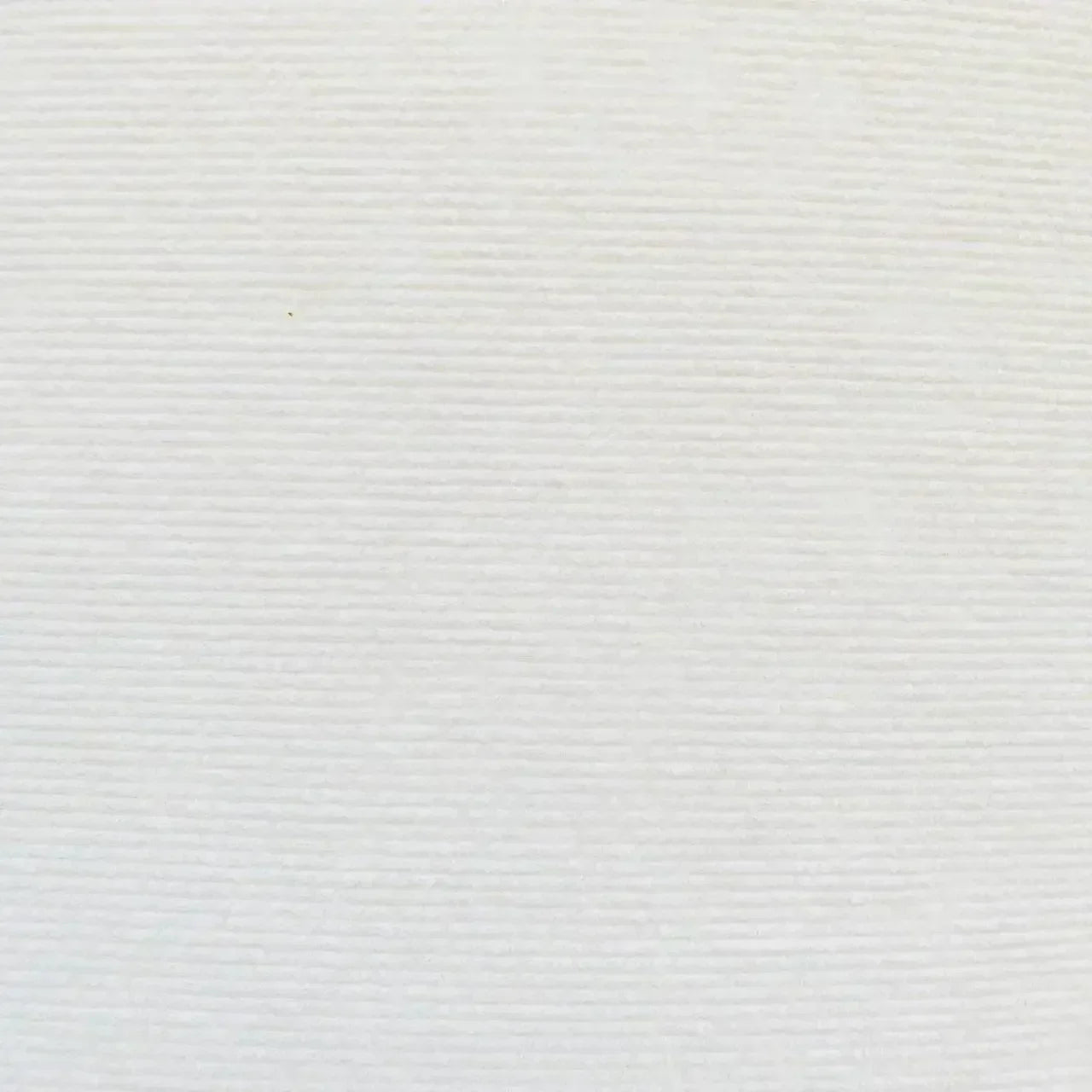 Gros plan détaillé sur la fibre haute densité d'un tapis griffoir chat coloris blanc profond. L'image met en avant le tissage horizontal serré et la résistance extrême de ce tapis griffoir pour chat conçu pour protéger durablement vos canapés, murs et meubles. Ce tapis griffoir a chat offre une zone de griffade robuste et élégante qui s'intègre parfaitement aux décorations d'intérieur modernes et sombres. La qualité de ce matériau professionnel assure une durabilité maximale contre l'effilochage tout 