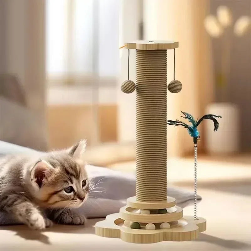 Chaton tigré observant une tour de jeu interactive en bois clair comprenant un poteau à griffer en sisal, un circuit de balles à la base, des plumeaux et des balles suspendues.