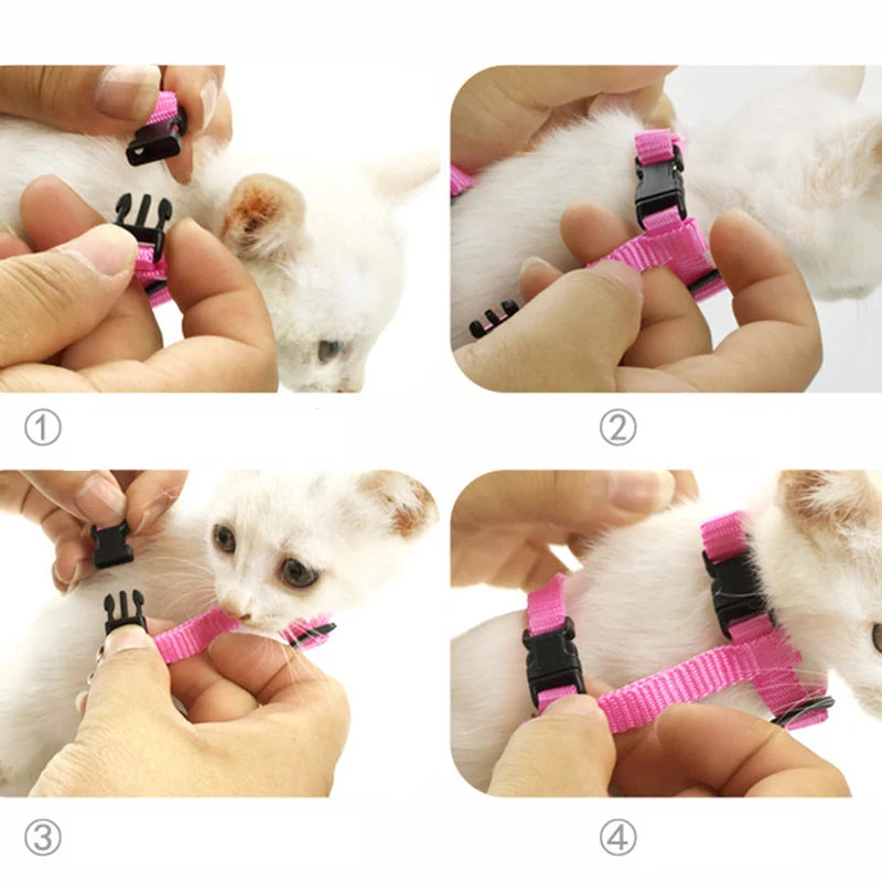 Tutoriel étape par étape en 4 images montrant comment mettre un harnais pour chat en nylon rose sur un chaton. Guide pratique pour installer ce harnais chat réglable avec clips de sécurité. Une méthode simple pour ajuster votre harnais animaux de type H afin de garantir confort et sécurité anti-évasion lors de la promenade.