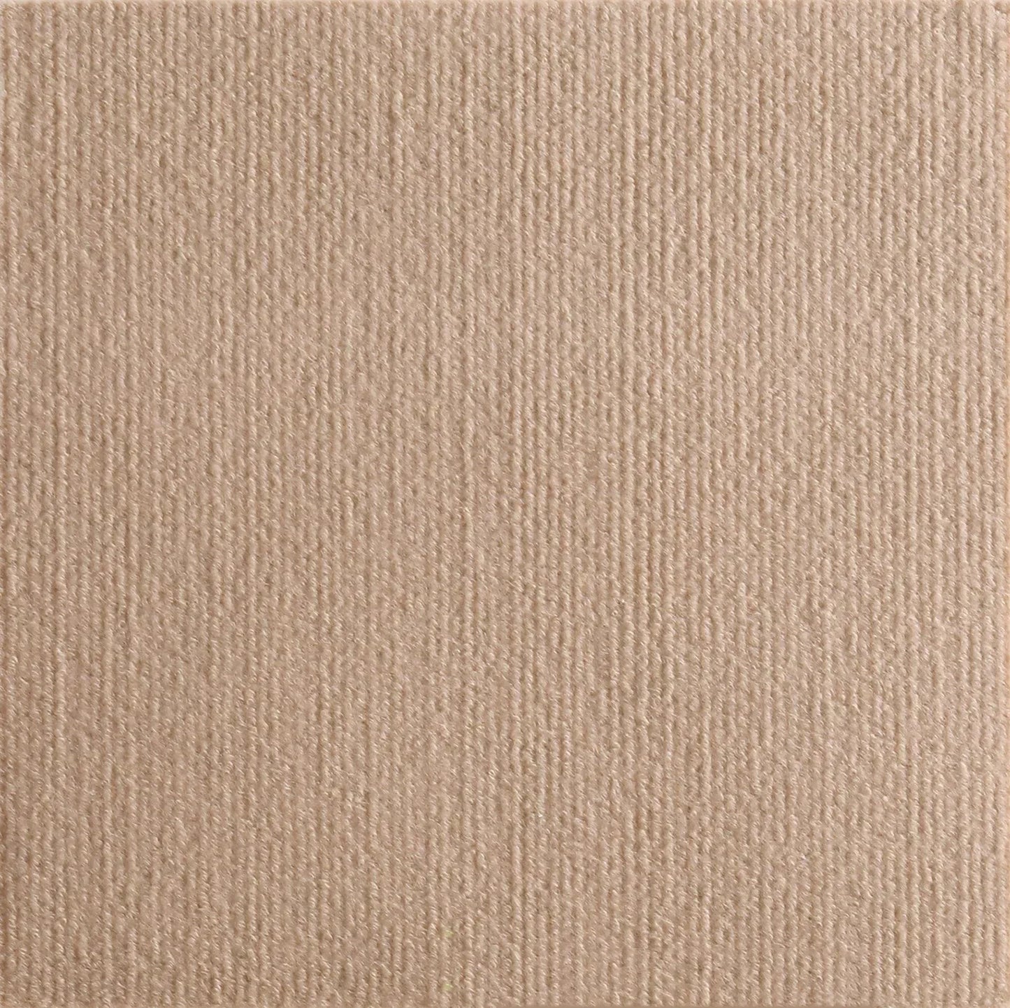 Gros plan détaillé sur la texture et le tissage vertical d'un tapis griffoir chat coloris beige naturel. L'image met en évidence la qualité des fibres de ce tapis griffoir pour chat conçu pour une discrétion totale sur vos meubles clairs. Ce tapis griffoir a chat offre une surface de griffade robuste et esthétique, idéale pour détourner l'attention de votre félin de vos canapés et textiles. La densité du matériau assure une protection longue durée et un entretien naturel des griffes sans résidus, disponible